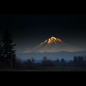 Meet your Posher, Jane